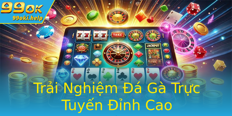 Trải Nghiệm Đá Gà Trực Tuyến Đỉnh Cao Trải Nghiệm Đá Gà Trực Tuyến Đỉnh Cao